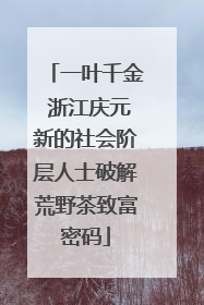 一叶千金 浙江庆元新的社会阶层人士破解荒野茶致富密码