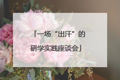 一场“出汗”的研学实践座谈会