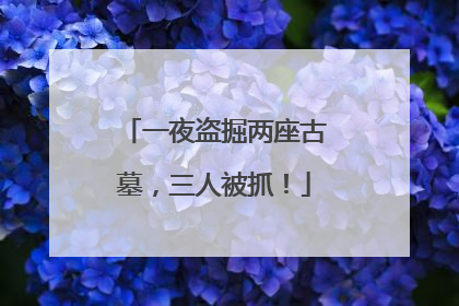 一夜盗掘两座古墓，三人被抓！