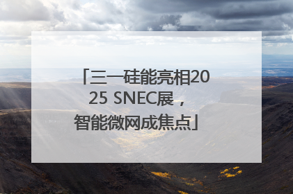 三一硅能亮相2025 SNEC展，智能微网成焦点