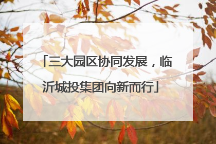 三大园区协同发展，临沂城投集团向新而行