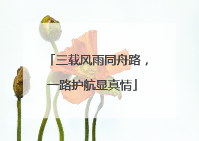 三载风雨同舟路，一路护航显真情