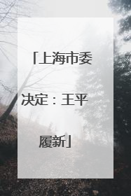 上海市委决定：王平履新