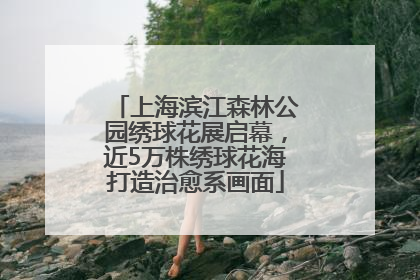 上海滨江森林公园绣球花展启幕，近5万株绣球花海打造治愈系画面