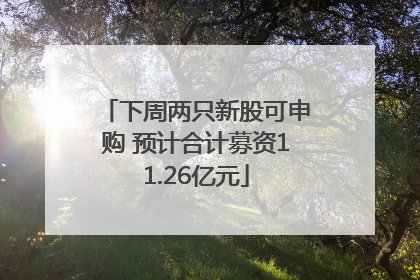 下周两只新股可申购 预计合计募资11.26亿元