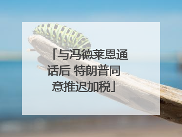 与冯德莱恩通话后 特朗普同意推迟加税