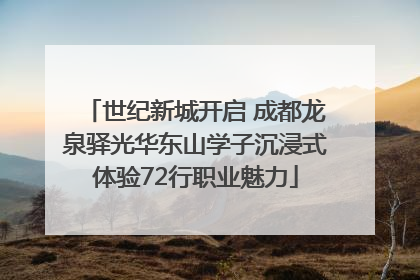 世纪新城开启 成都龙泉驿光华东山学子沉浸式体验72行职业魅力