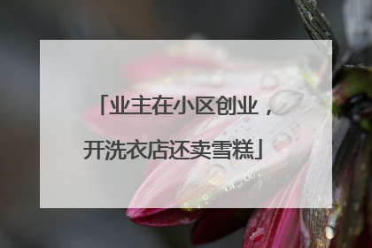 业主在小区创业，开洗衣店还卖雪糕