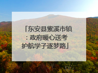 东安县紫溪市镇：政府暖心送考 护航学子逐梦路