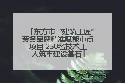 东方市“建筑工匠”劳务品牌精准赋能重点项目 250名技术工人筑牢建设基石