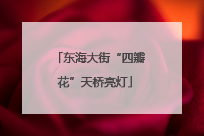 东海大街“四瓣花”天桥亮灯