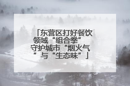 东营区打好餐饮领域“组合拳” 守护城市“烟火气”与“生态味”