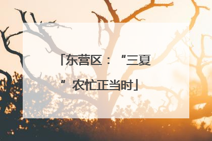 东营区：“三夏”农忙正当时
