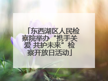东西湖区人民检察院举办“携手关爱 共护未来”检察开放日活动