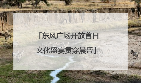 东风广场开放首日 文化盛宴贯穿晨昏