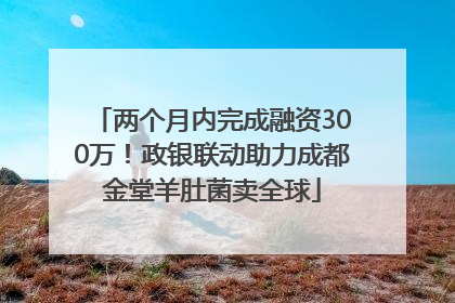 两个月内完成融资300万！政银联动助力成都金堂羊肚菌卖全球