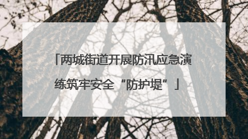 两城街道开展防汛应急演练筑牢安全“防护堤”