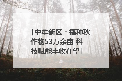 中牟新区：播种秋作物53万余亩 科技赋能丰收在望