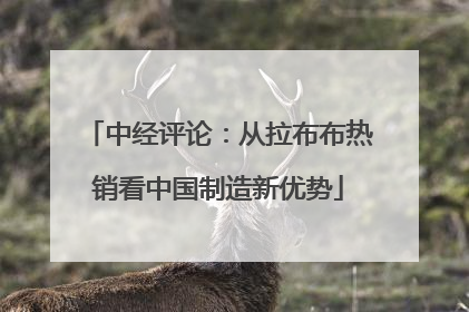 中经评论：从拉布布热销看中国制造新优势