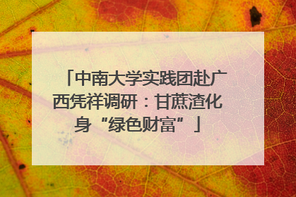 中南大学实践团赴广西凭祥调研：甘蔗渣化身“绿色财富”