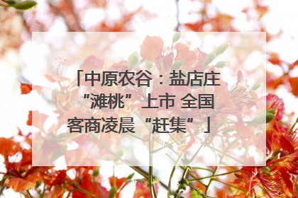 中原农谷：盐店庄“滩桃”上市 全国客商凌晨“赶集”