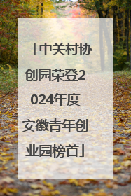 中关村协创园荣登2024年度安徽青年创业园榜首