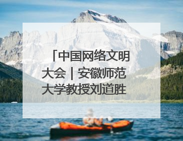 中国网络文明大会｜安徽师范大学教授刘道胜：“E”览徽风，构筑中华民族共有精神家园