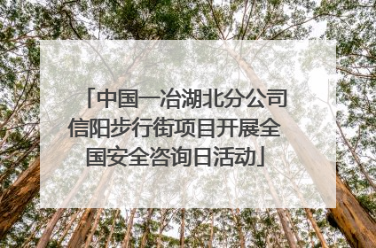 中国一冶湖北分公司信阳步行街项目开展全国安全咨询日活动