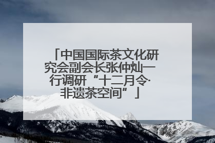 中国国际茶文化研究会副会长张仲灿一行调研“十二月令·非遗茶空间”