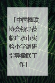 中国楹联协会领导莅临广水市实验小学调研指导楹联工作