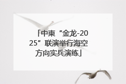 中柬“金龙-2025”联演举行海空方向实兵演练