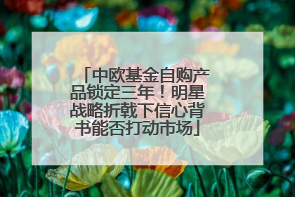 中欧基金自购产品锁定三年！明星战略折戟下信心背书能否打动市场