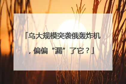 乌大规模突袭俄轰炸机，偏偏“漏”了它？