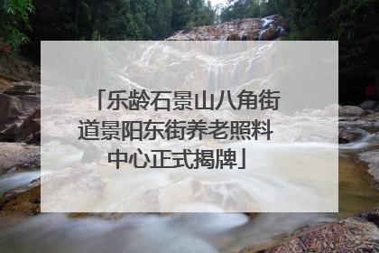 乐龄石景山八角街道景阳东街养老照料中心正式揭牌