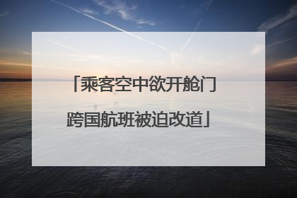 乘客空中欲开舱门 跨国航班被迫改道