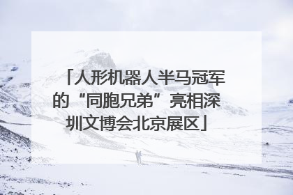人形机器人半马冠军的“同胞兄弟”亮相深圳文博会北京展区