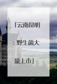云南昆明：野生菌大量上市
