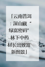云南普洱：深山藏“绿富密码” 林下中药材长出致富新图景