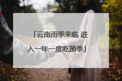 云南雨季来临 进入一年一度吃菌季
