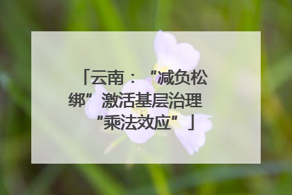 云南：“减负松绑”激活基层治理“乘法效应”