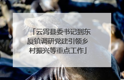 云霄县委书记到东厦镇调研党建引领乡村振兴等重点工作