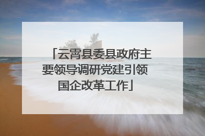 云霄县委县政府主要领导调研党建引领国企改革工作