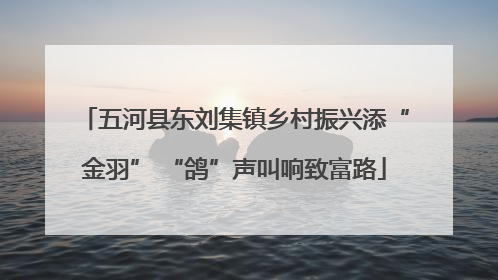 五河县东刘集镇乡村振兴添“金羽” “鸽”声叫响致富路