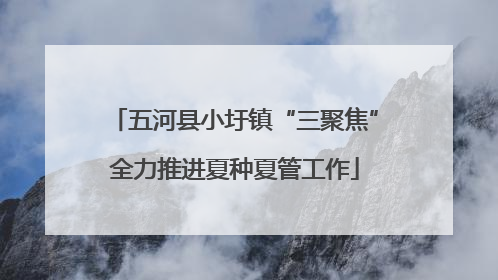 五河县小圩镇“三聚焦”全力推进夏种夏管工作
