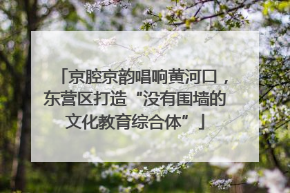 京腔京韵唱响黄河口，东营区打造“没有围墙的文化教育综合体”