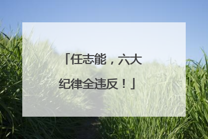 任志能，六大纪律全违反！