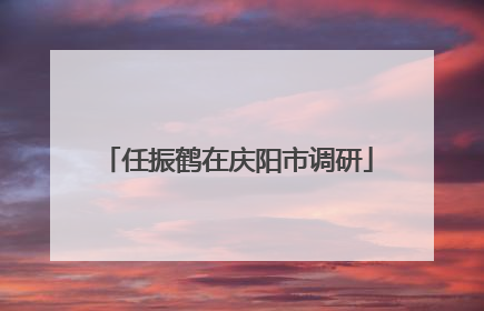 任振鹤在庆阳市调研