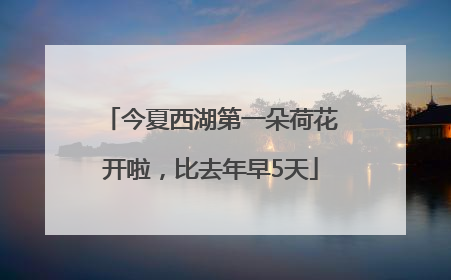 今夏西湖第一朵荷花开啦，比去年早5天