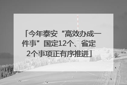 今年泰安“高效办成一件事”国定12个、省定2个事项正有序推进