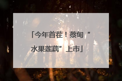 今年首茬！蔡甸“水果莲藕”上市